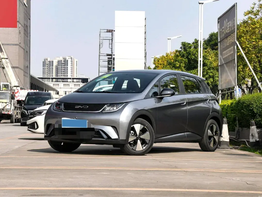 2021 BYD DOLPHIN view 1