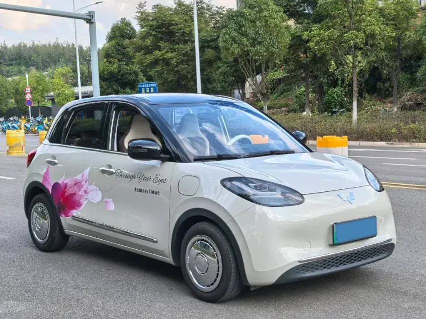 2024 WULING BINGUO thumbnail 3