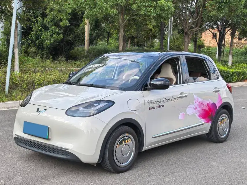 2024 WULING BINGUO view 1