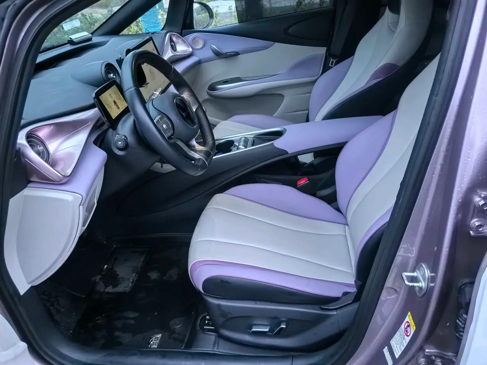 2021 BYD DOLPHIN thumbnail 4