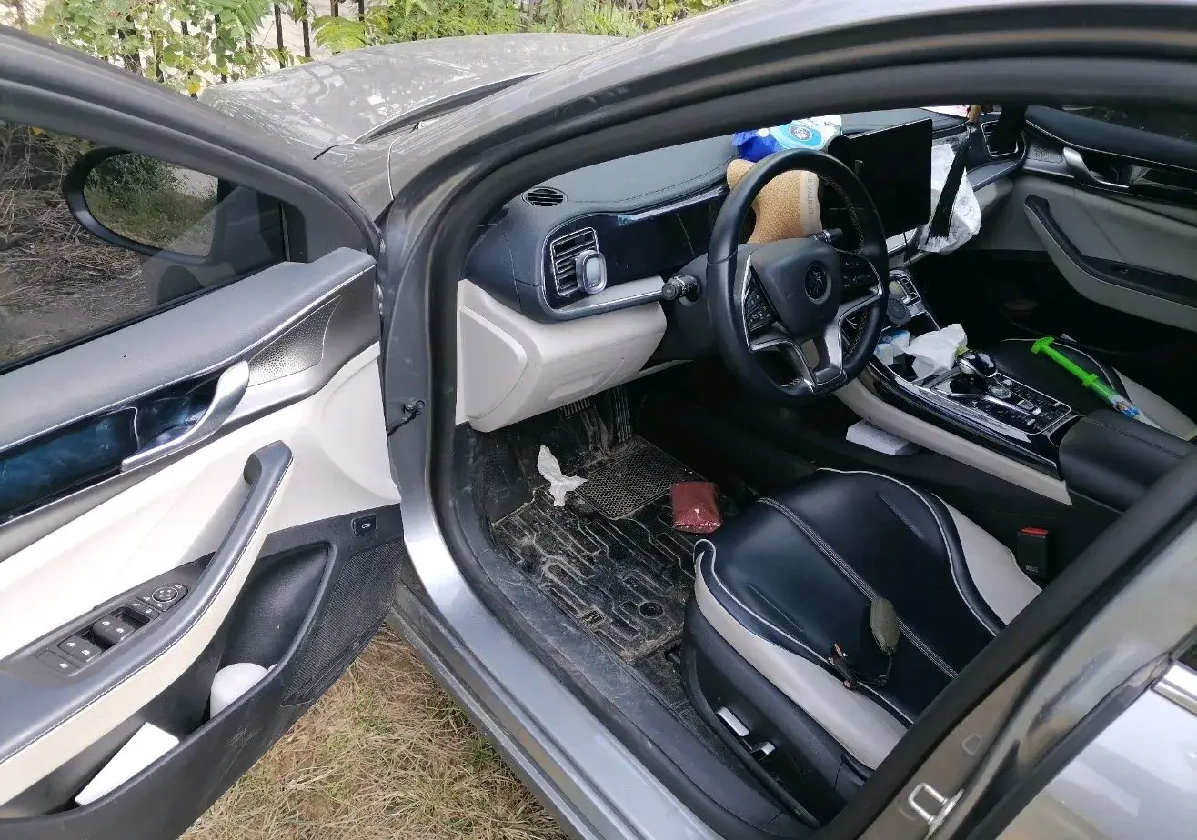 2021 BYD QIN thumbnail 2