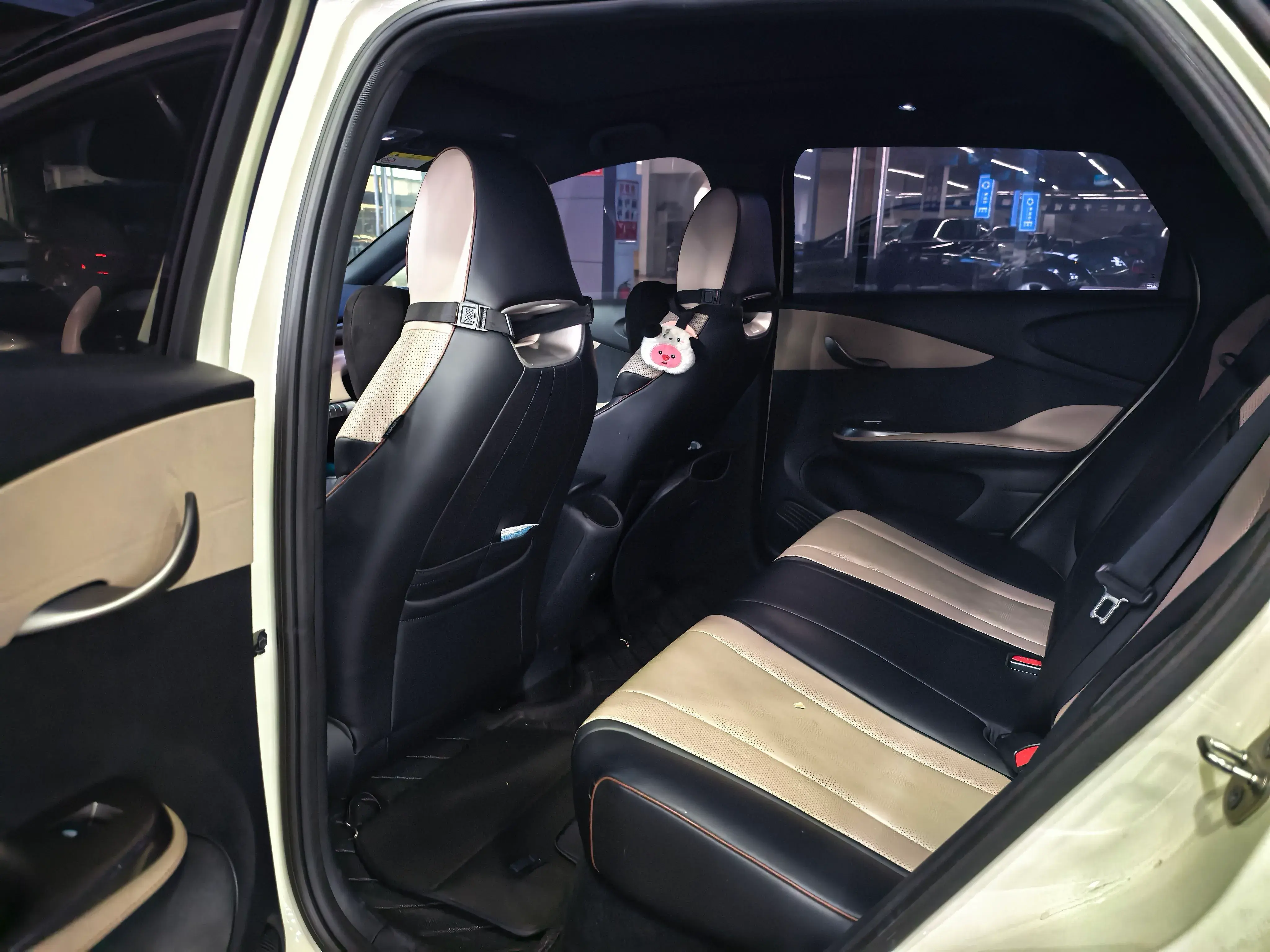 2023 BYD DOLPHIN thumbnail 3