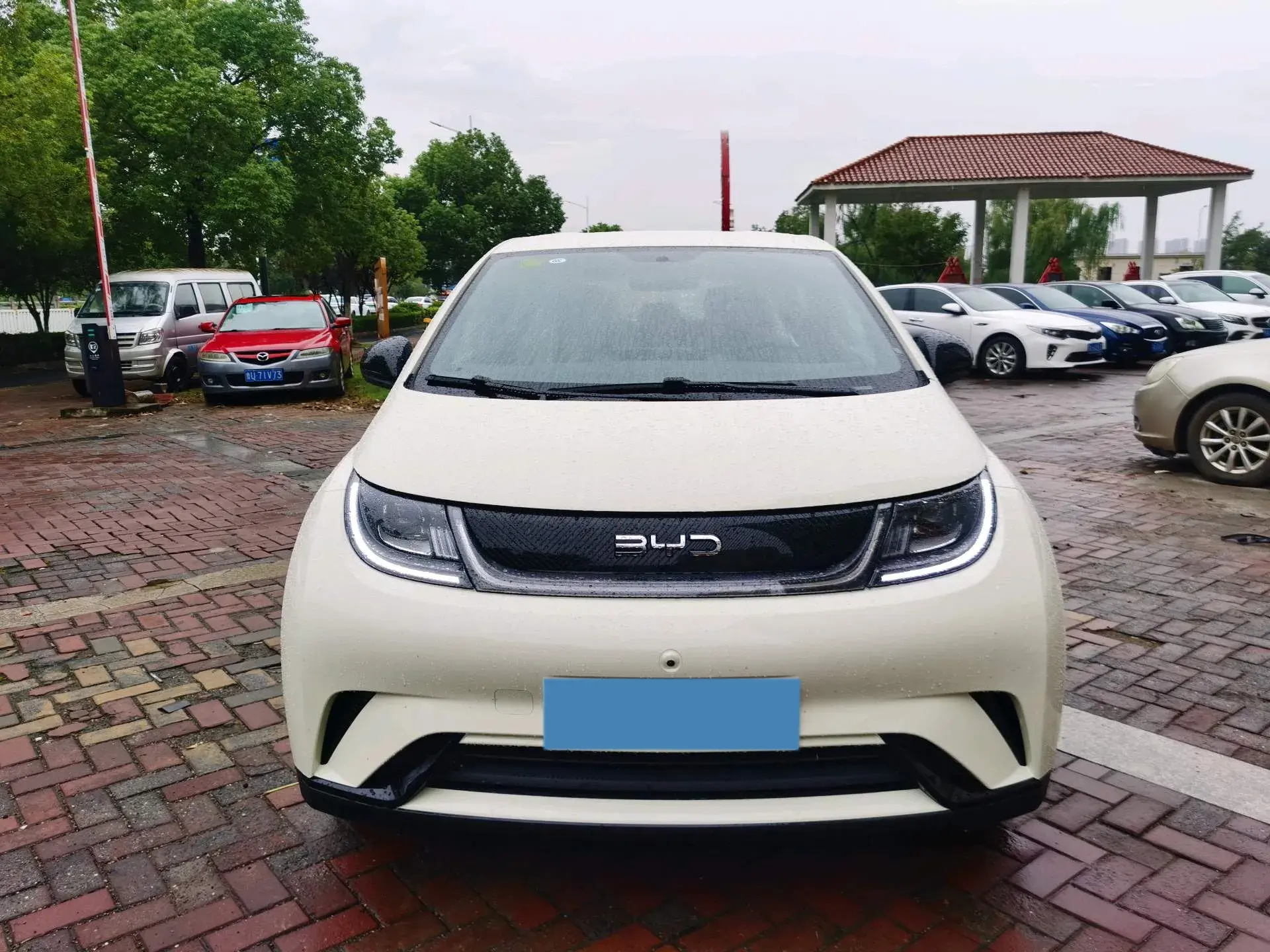 2025 BYD DOLPHIN thumbnail 2