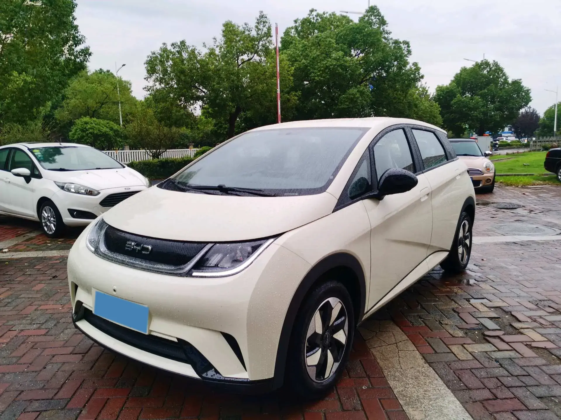 2025 BYD DOLPHIN view 1