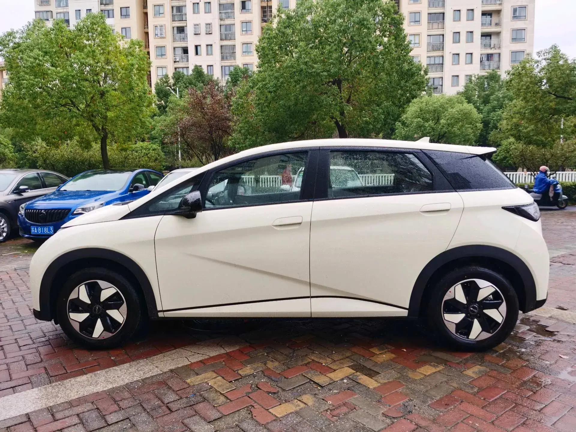 2025 BYD DOLPHIN thumbnail 4