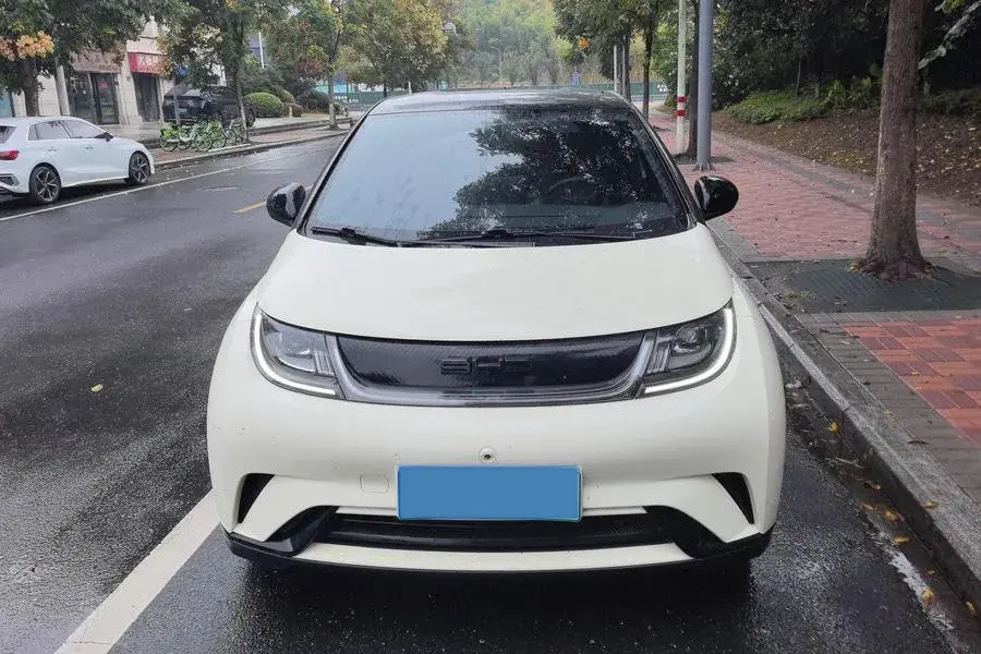 2023 BYD DOLPHIN thumbnail 2