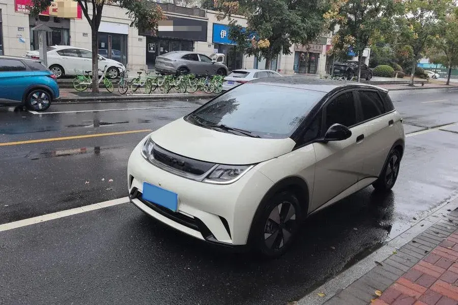 2023 BYD DOLPHIN view 1