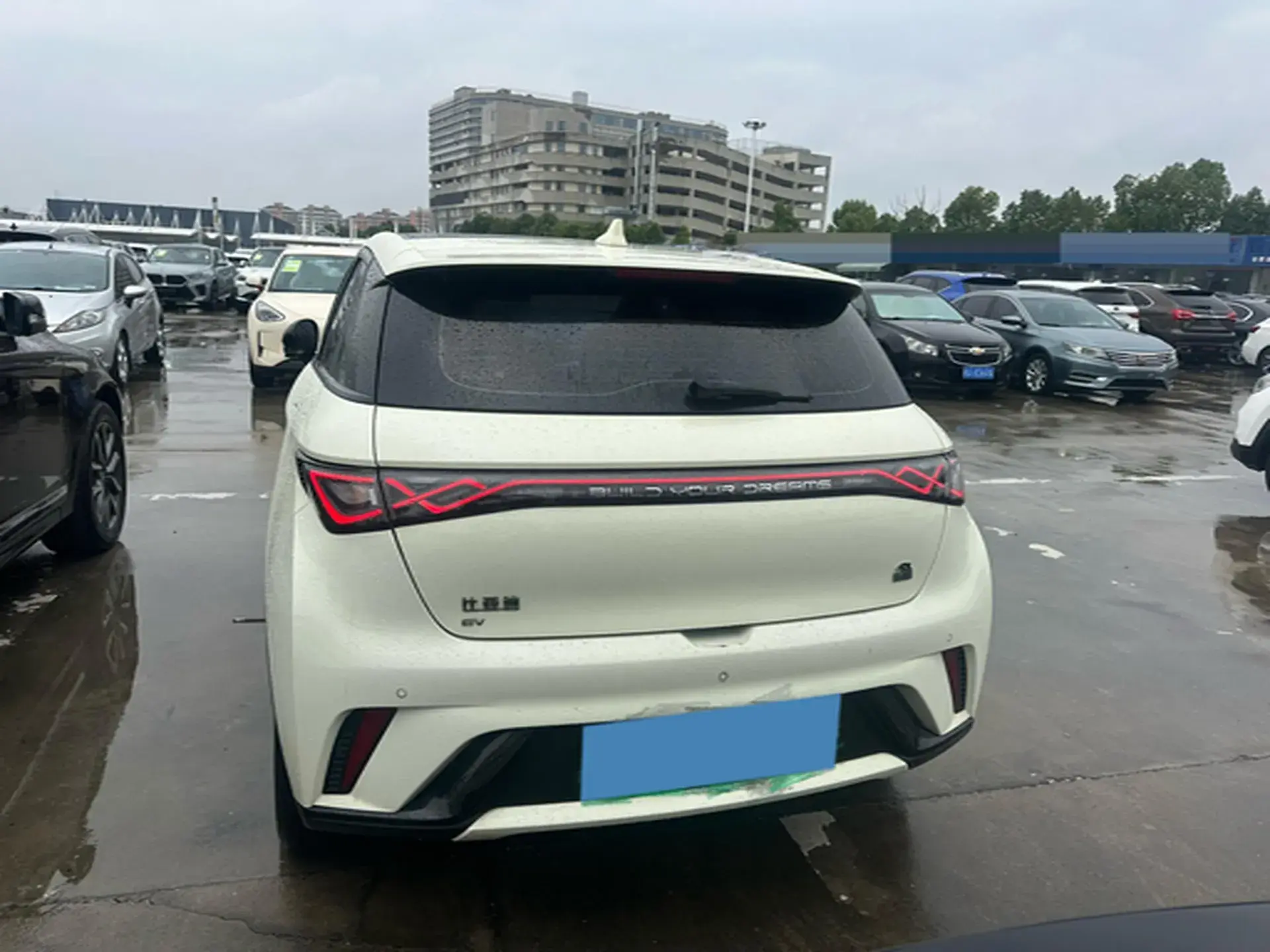 2023 BYD DOLPHIN thumbnail 4