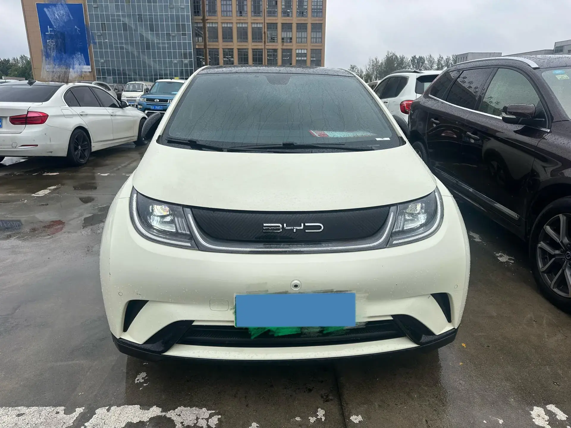 2023 BYD DOLPHIN thumbnail 2