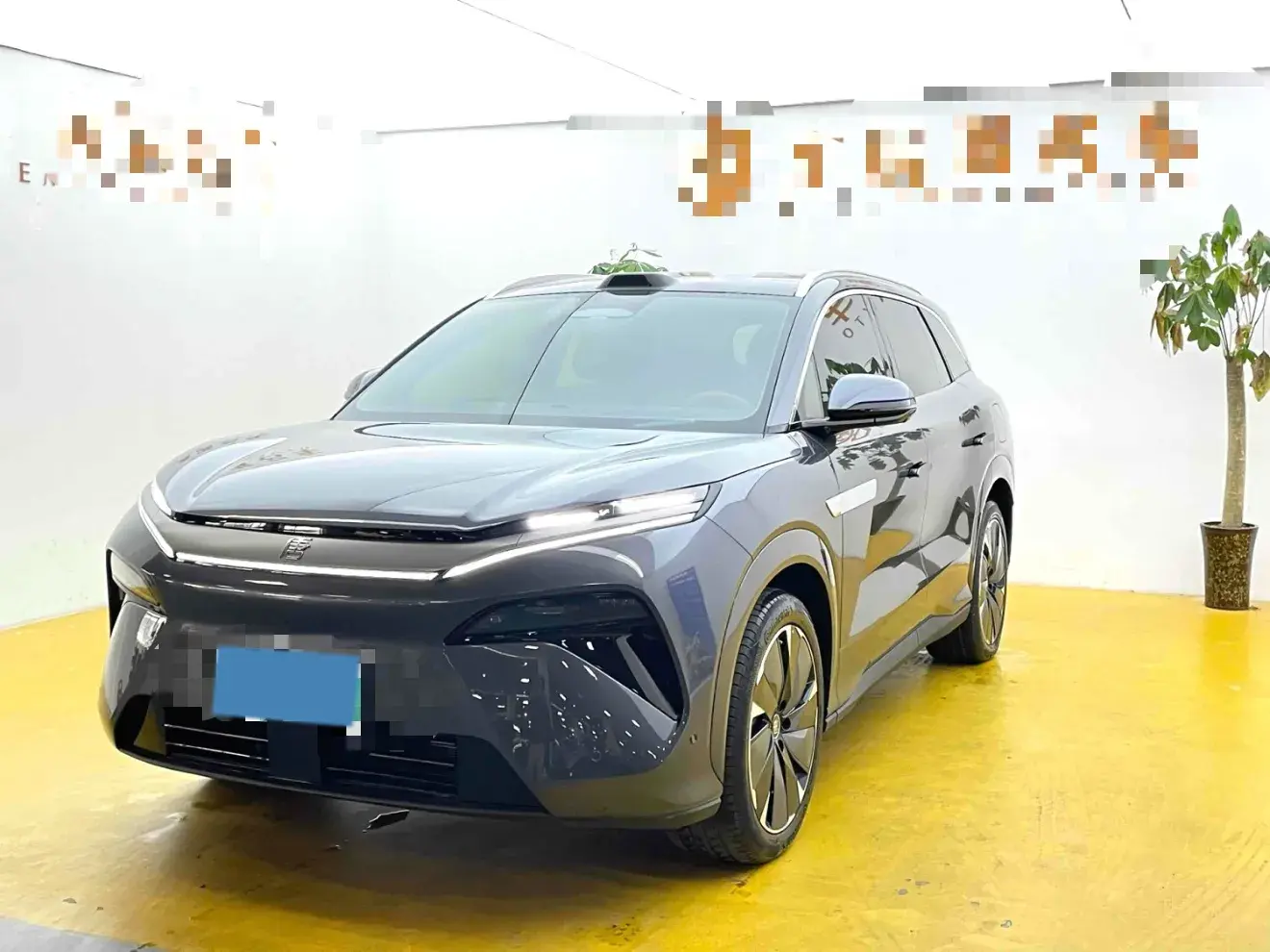 2025 BYD TANGL view 1