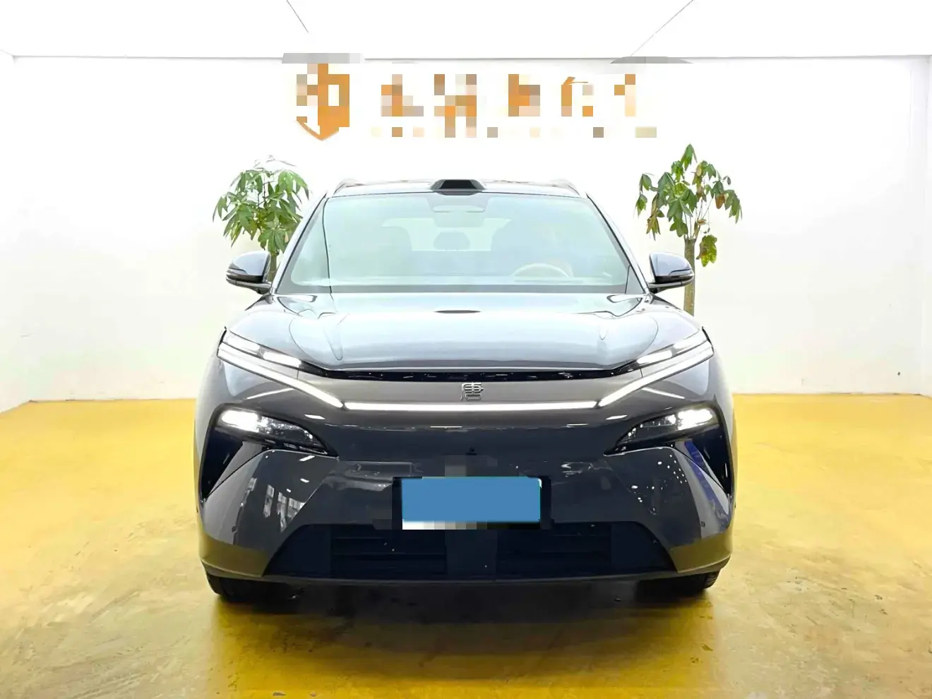 2025 BYD TANGL thumbnail 2