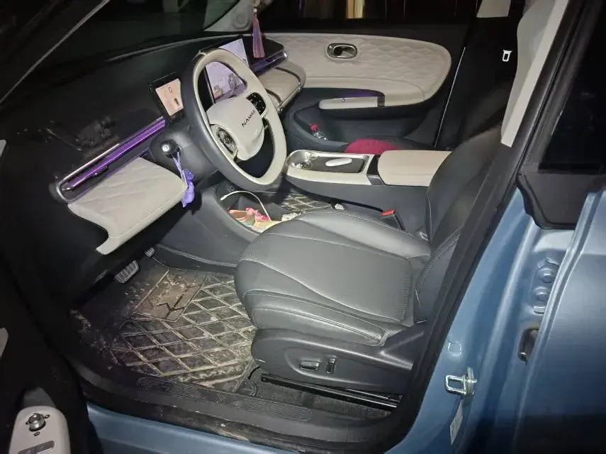 2024 DONGFENG NAMMI thumbnail 3