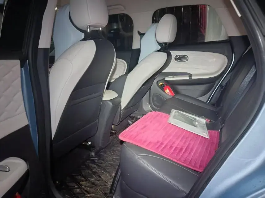 2024 DONGFENG NAMMI thumbnail 4