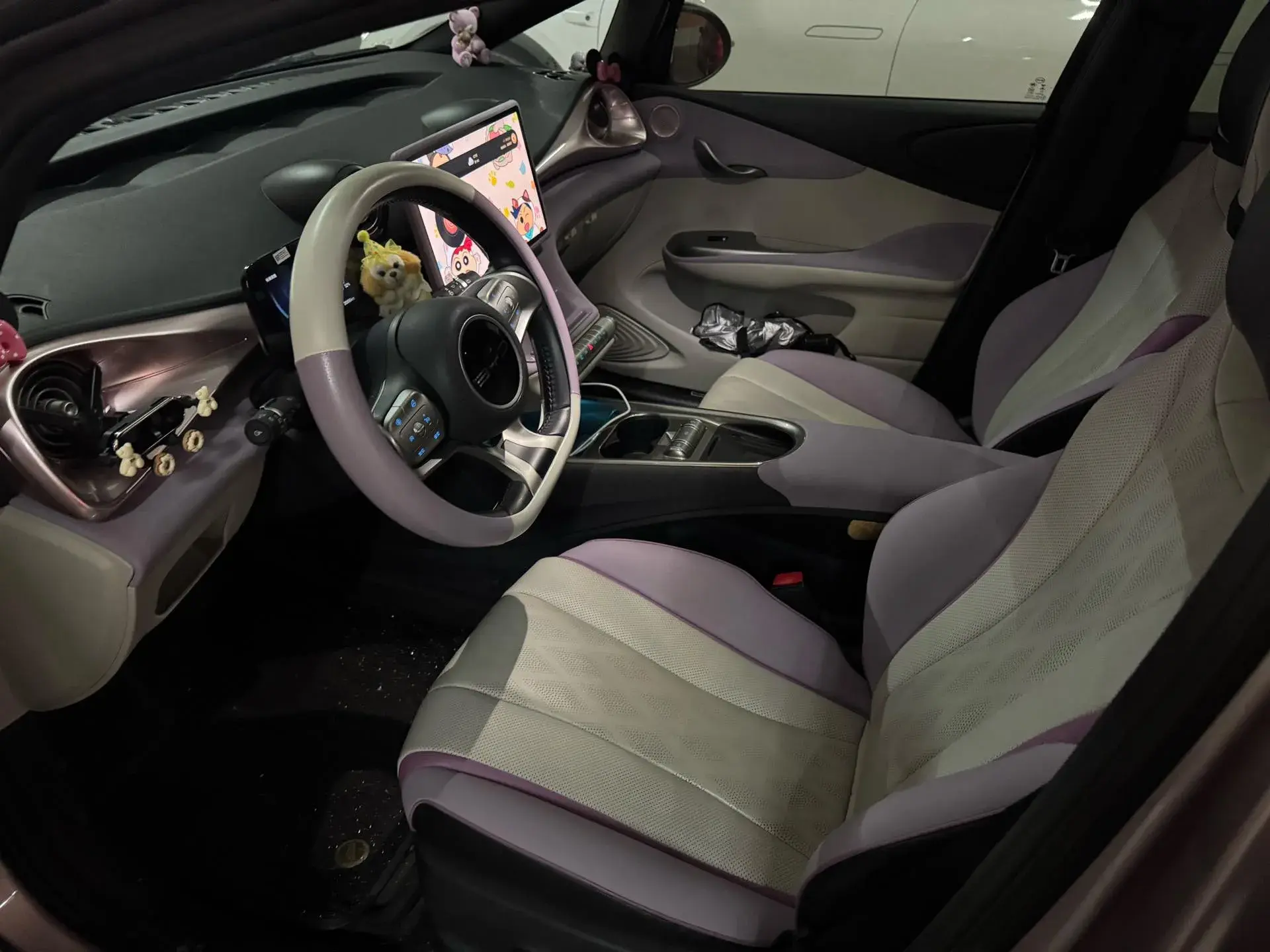 2024 BYD DOLPHIN thumbnail 4