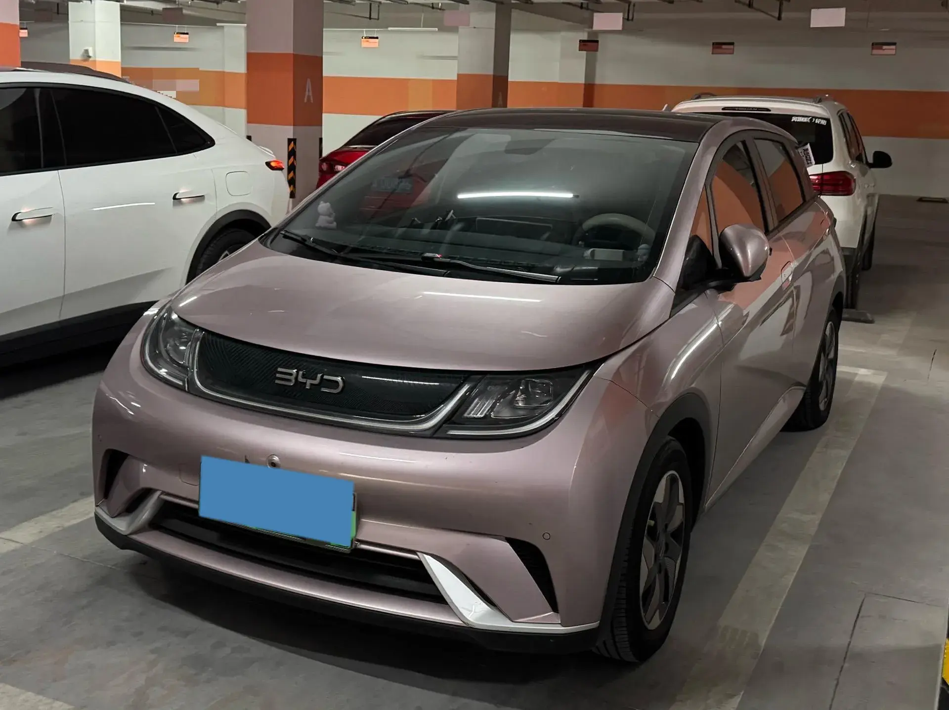 2024 BYD DOLPHIN view 1