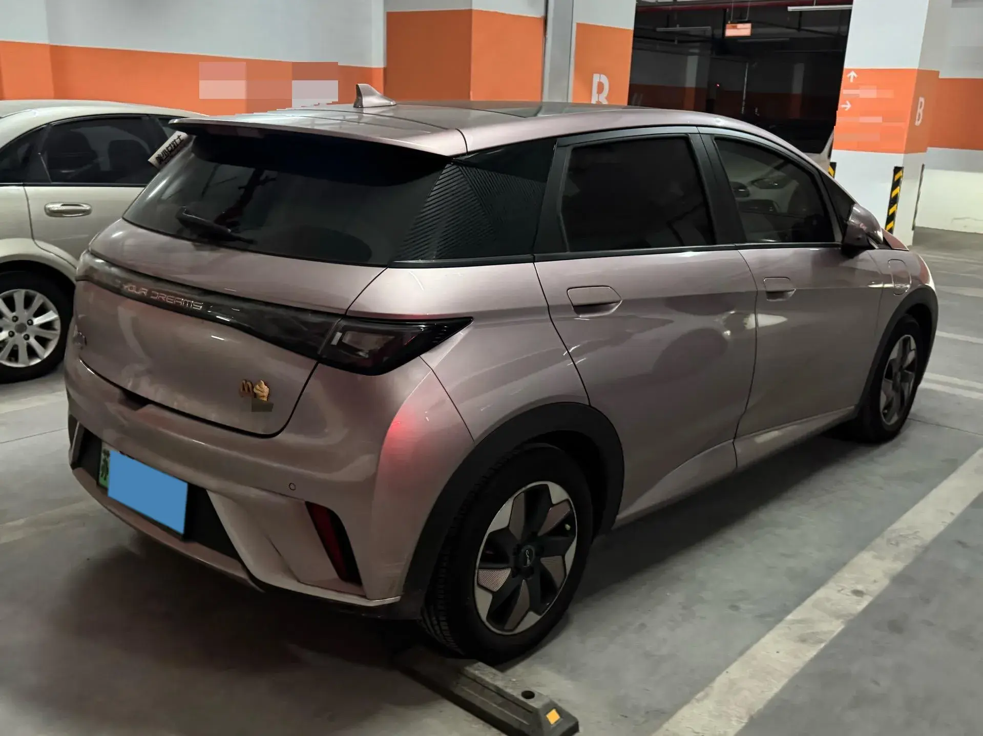 2024 BYD DOLPHIN thumbnail 2