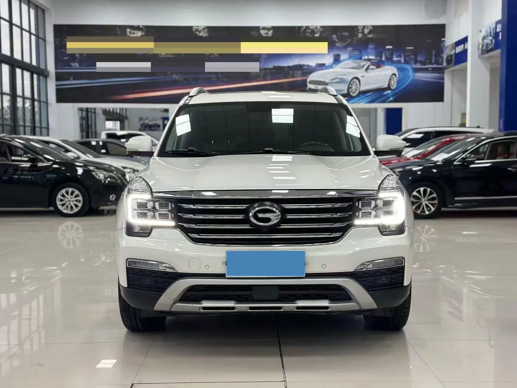 2017 GAC TRUMPCHI thumbnail 3