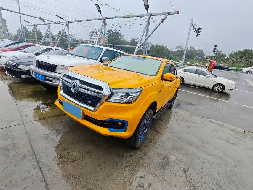 2020 DONGFENG RUIQI view 1