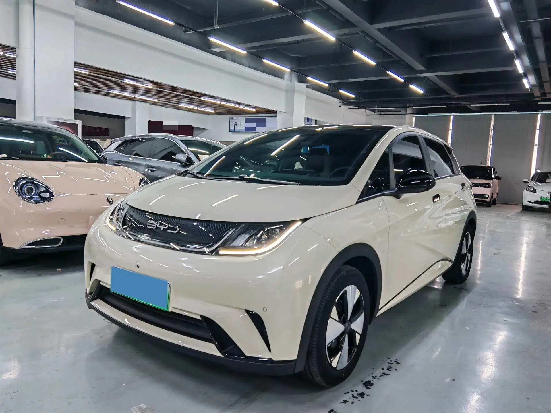 2023 BYD DOLPHIN view 1