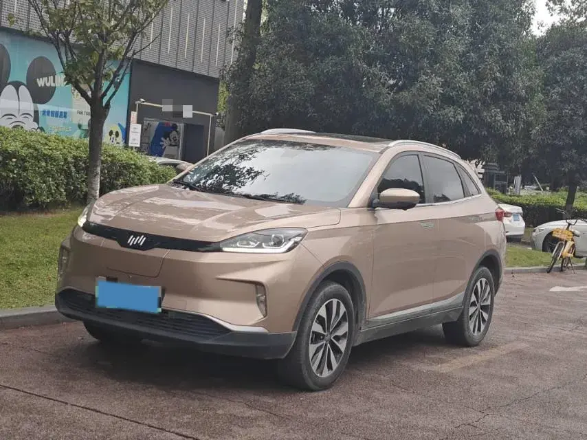 2018 WELTMEISTER EX5 view 1