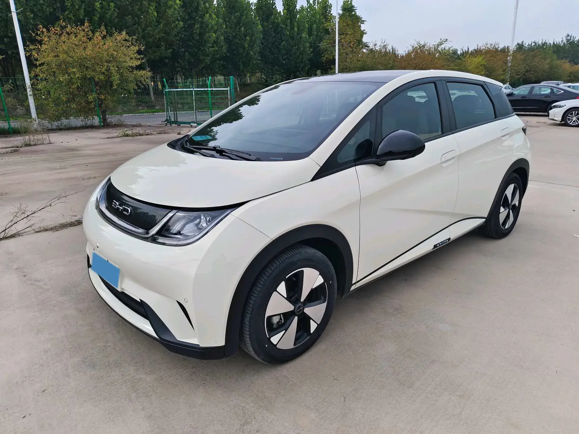 2023 BYD DOLPHIN view 1