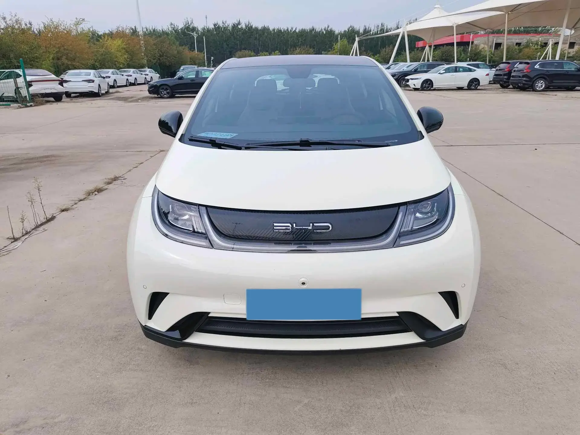 2023 BYD DOLPHIN thumbnail 2