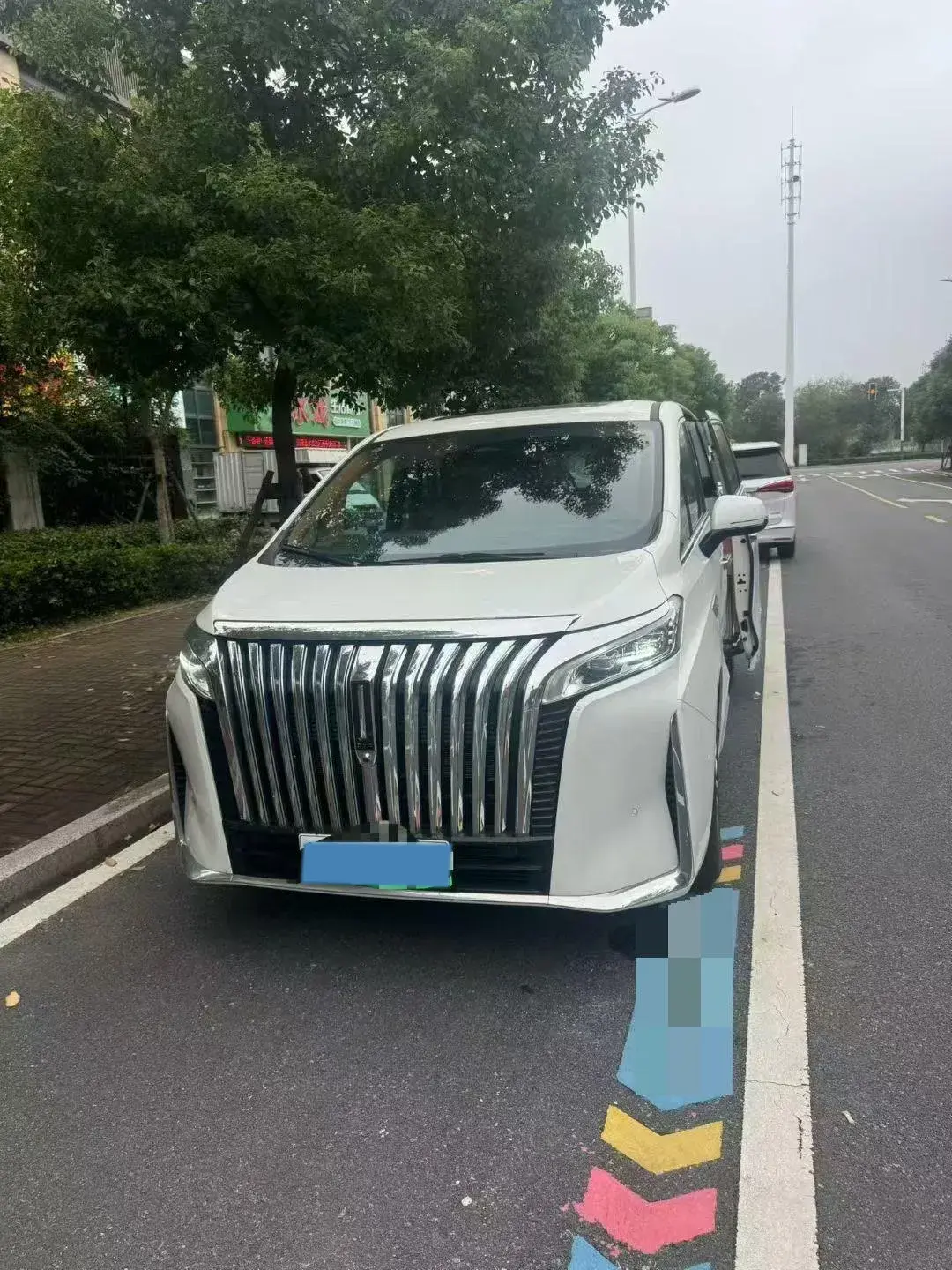 2024 HONGQI HQ9 thumbnail 2