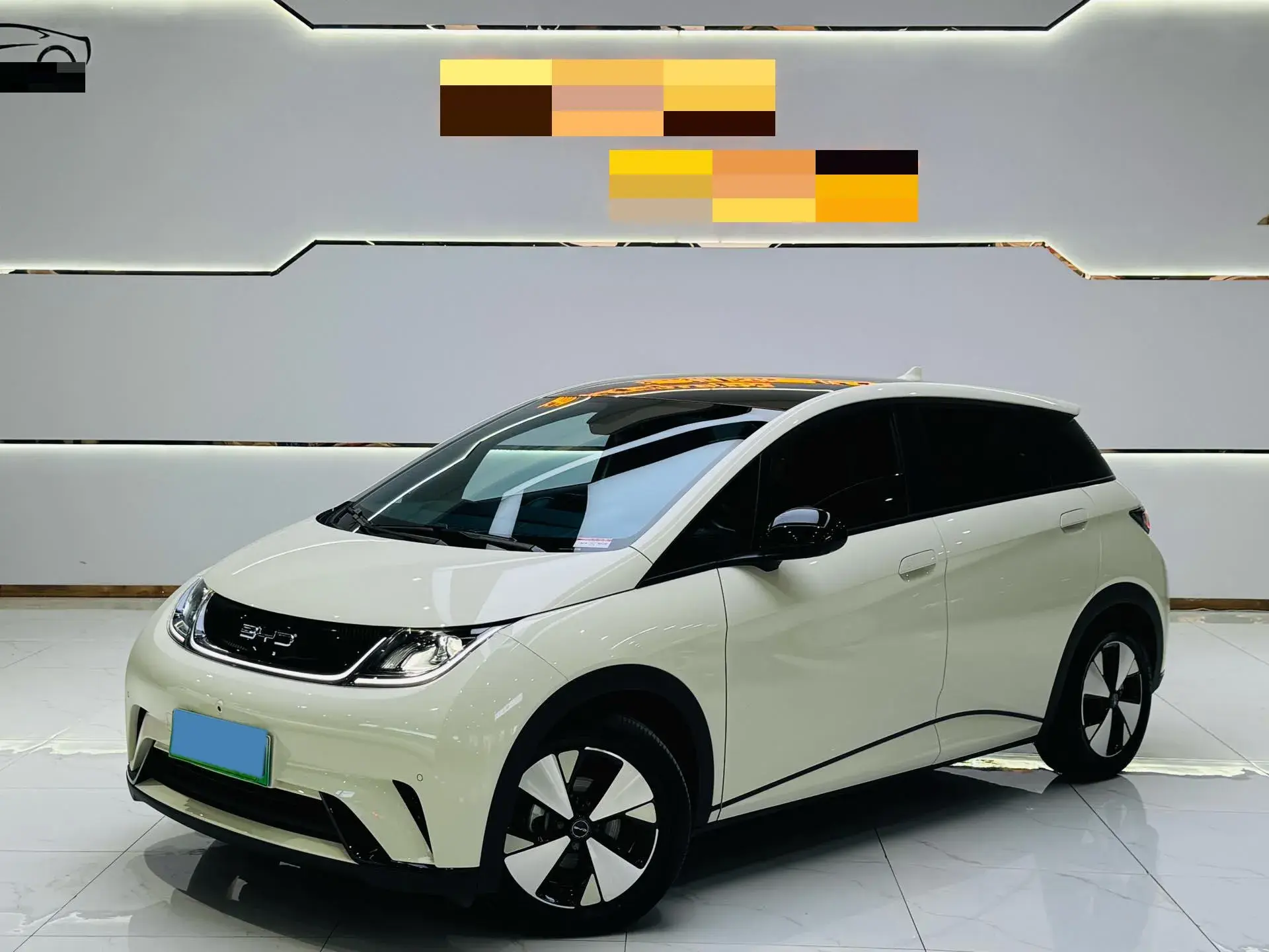 2023 BYD DOLPHIN view 1