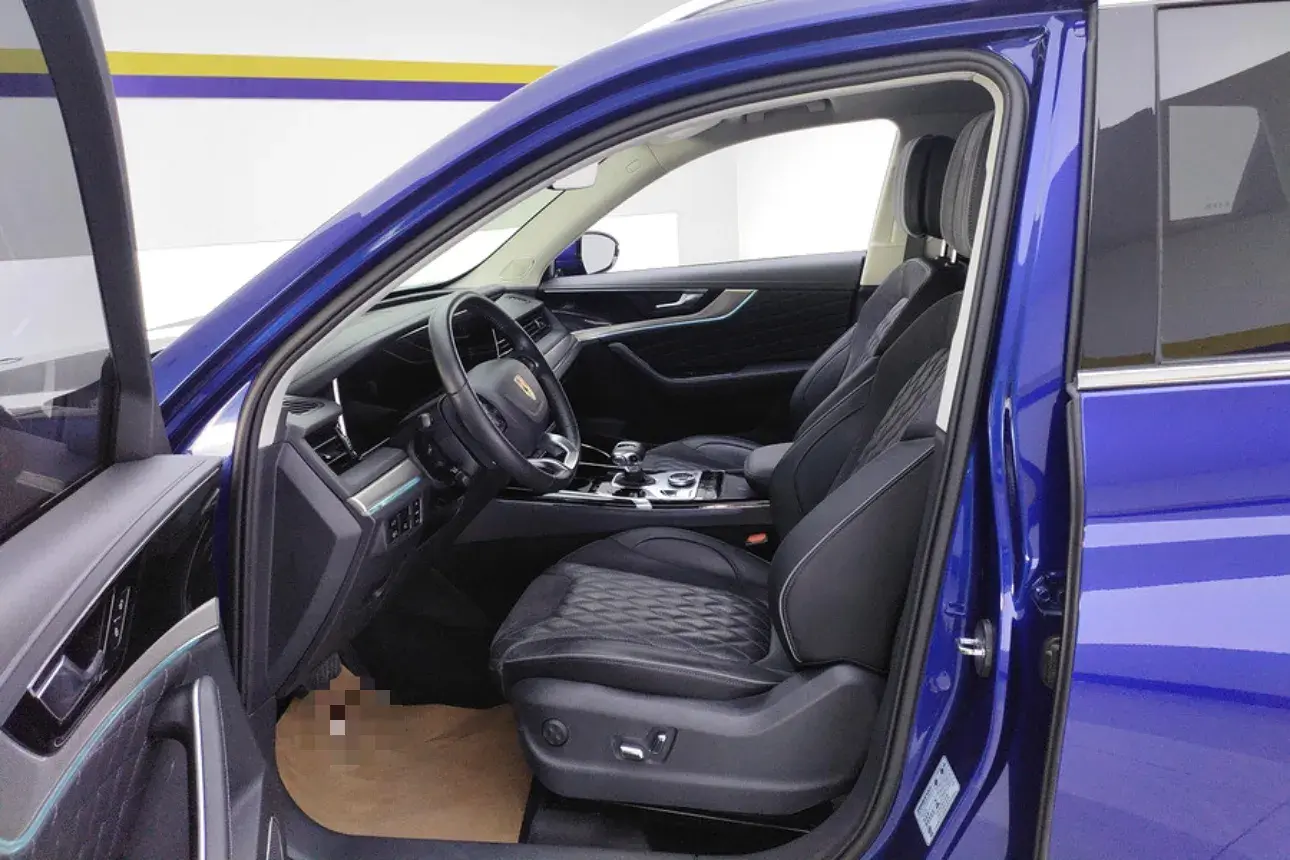 2019 HONGQI HS5 thumbnail 4