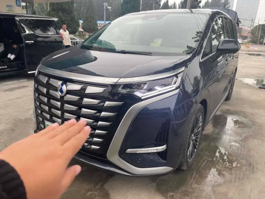 2022 DENZA D9 view 1