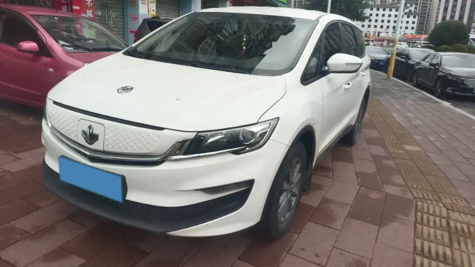 2021 Livan Maple 80v BEV 53KWH