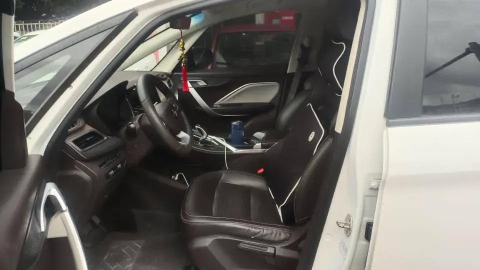 2021 LIVAN MAPLE thumbnail 3