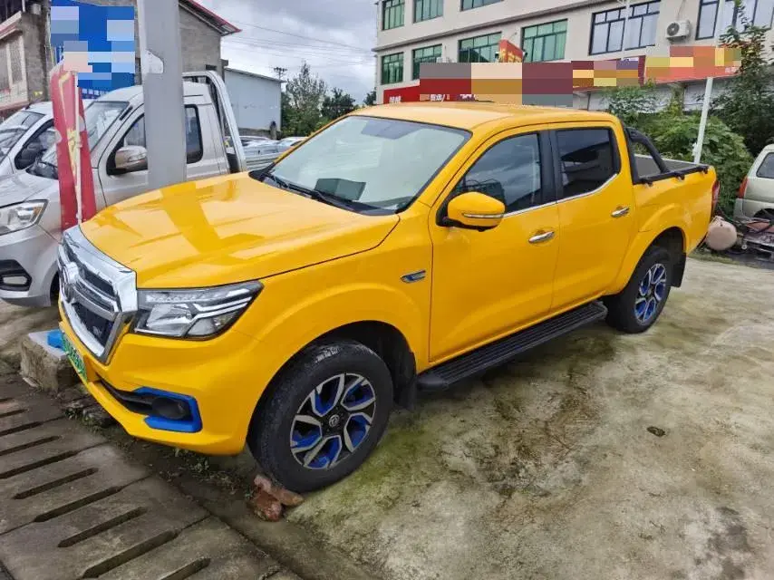 2020 DONGFENG RUIQI view 1