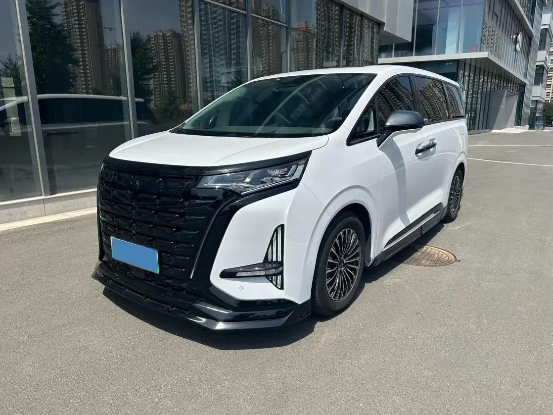 2022 DENZA D9 view 1