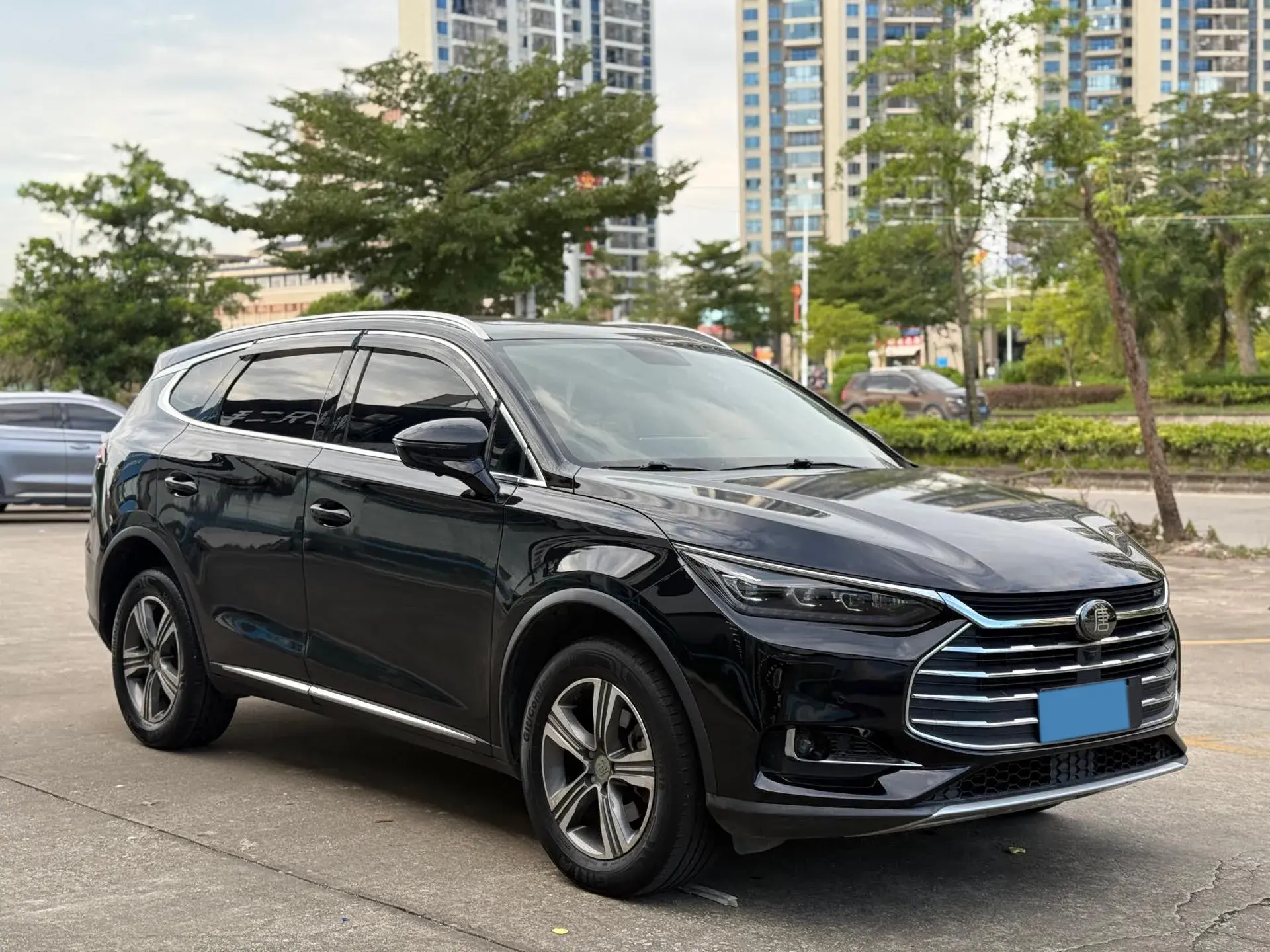 2019 BYD TANG thumbnail 2