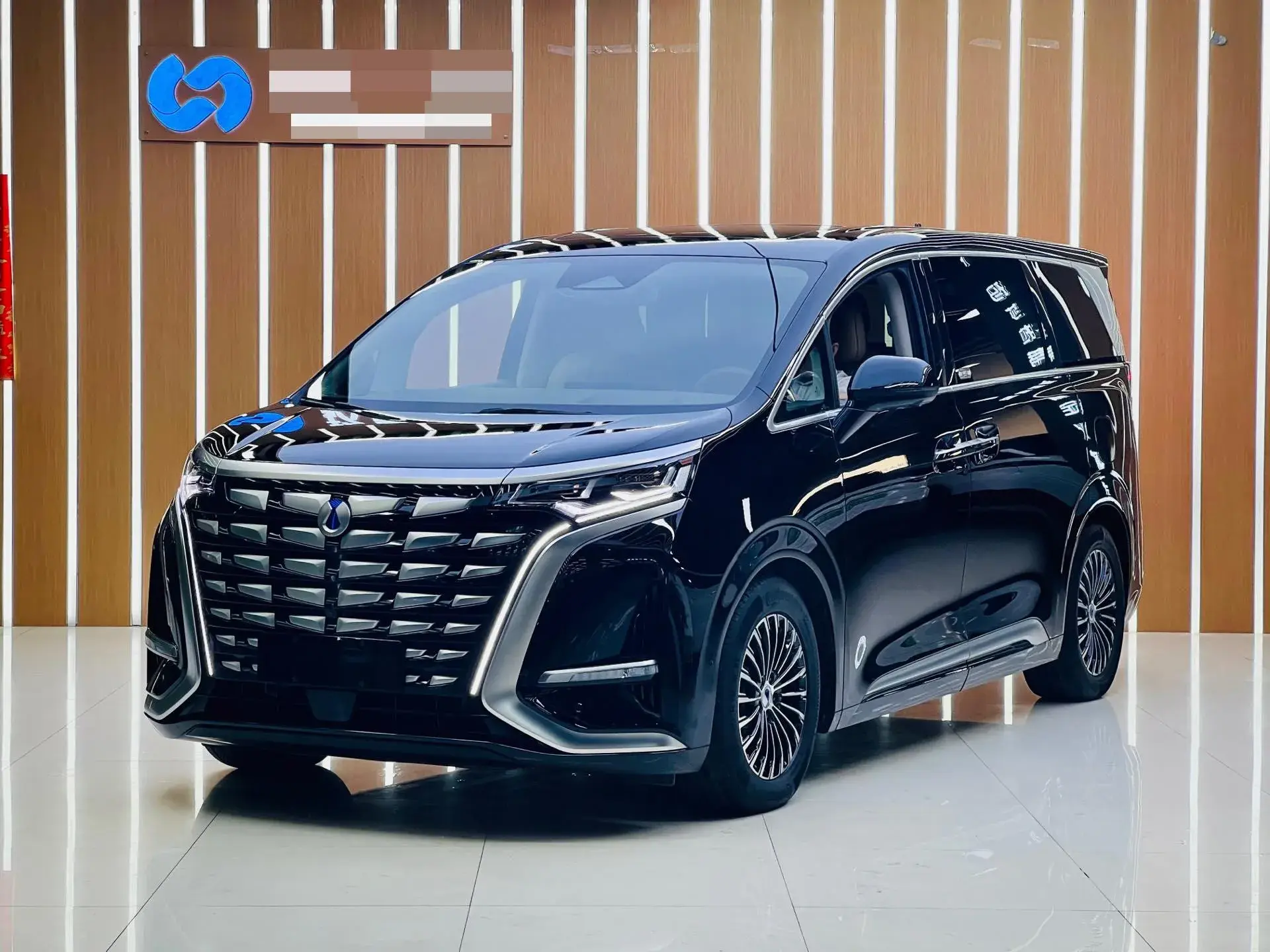 2022 DENZA D9 view 1