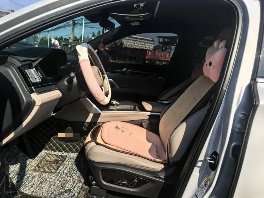 2025 BYD TANG thumbnail 2