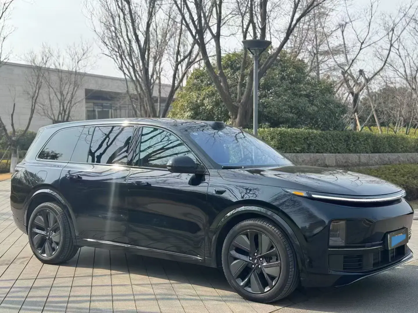 2022 LI L9 thumbnail 3