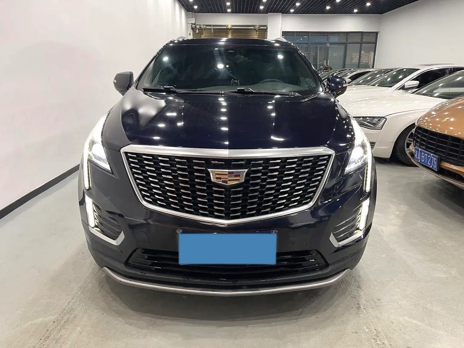 2020 CADILLAC XT5 thumbnail 2