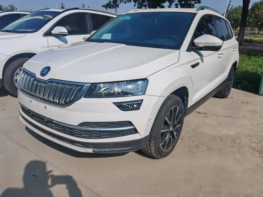 2019 SKODA KAROQ view 1