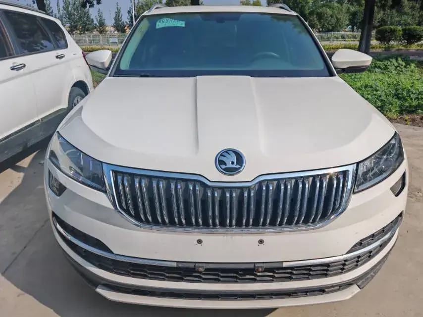 2019 SKODA KAROQ thumbnail 2