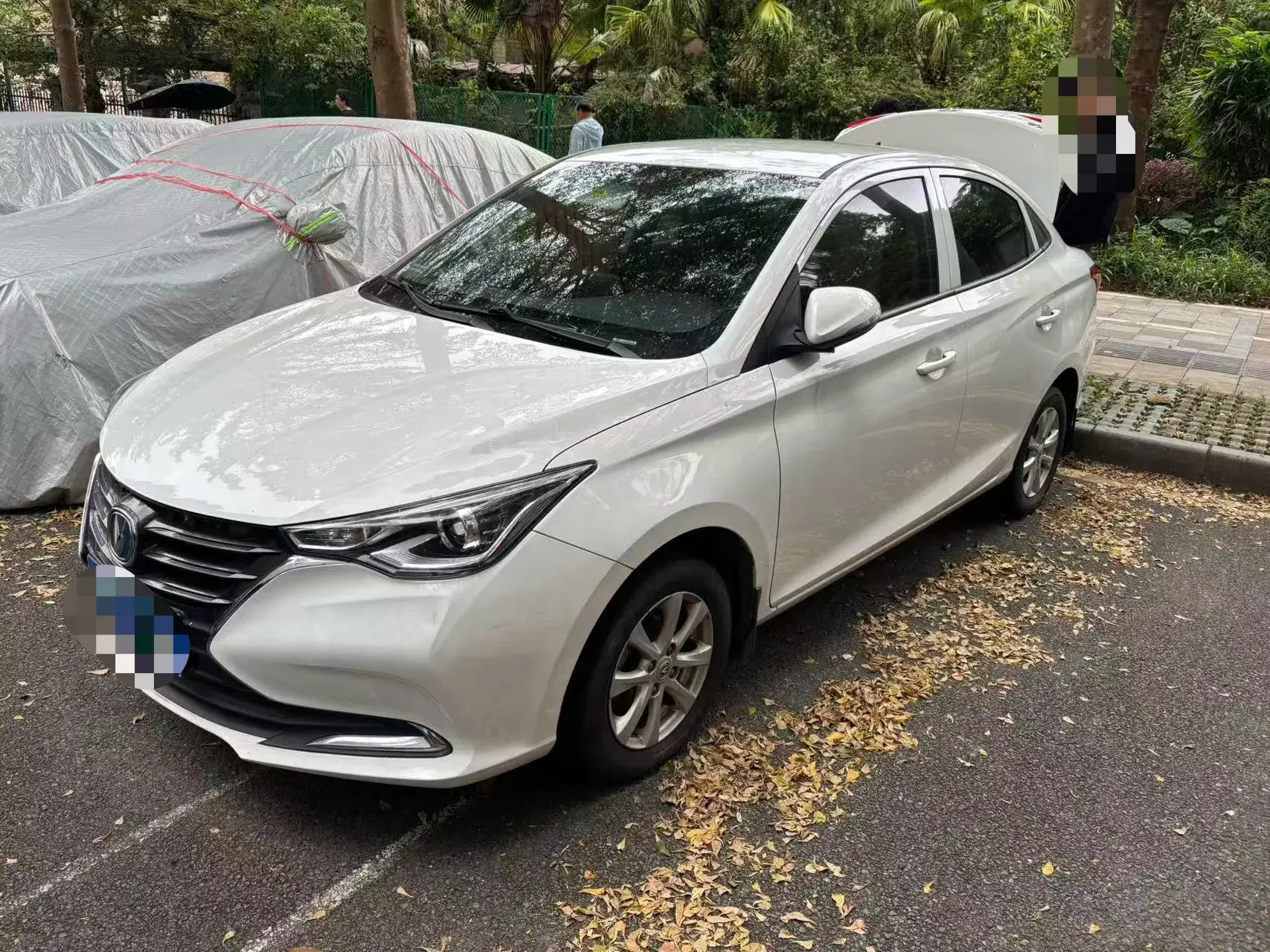 2019 CHANGAN ALSVIN view 1