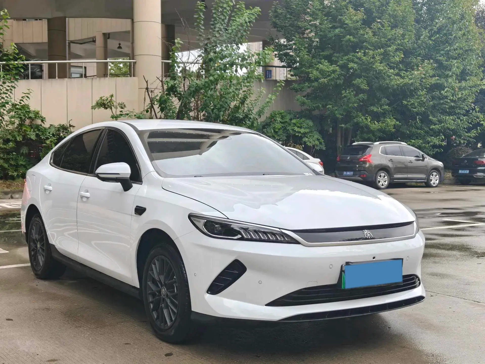 2025 BYD QIN thumbnail 4