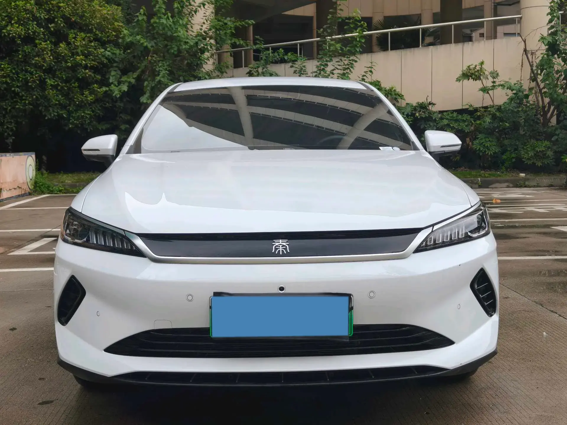 2025 BYD QIN thumbnail 3