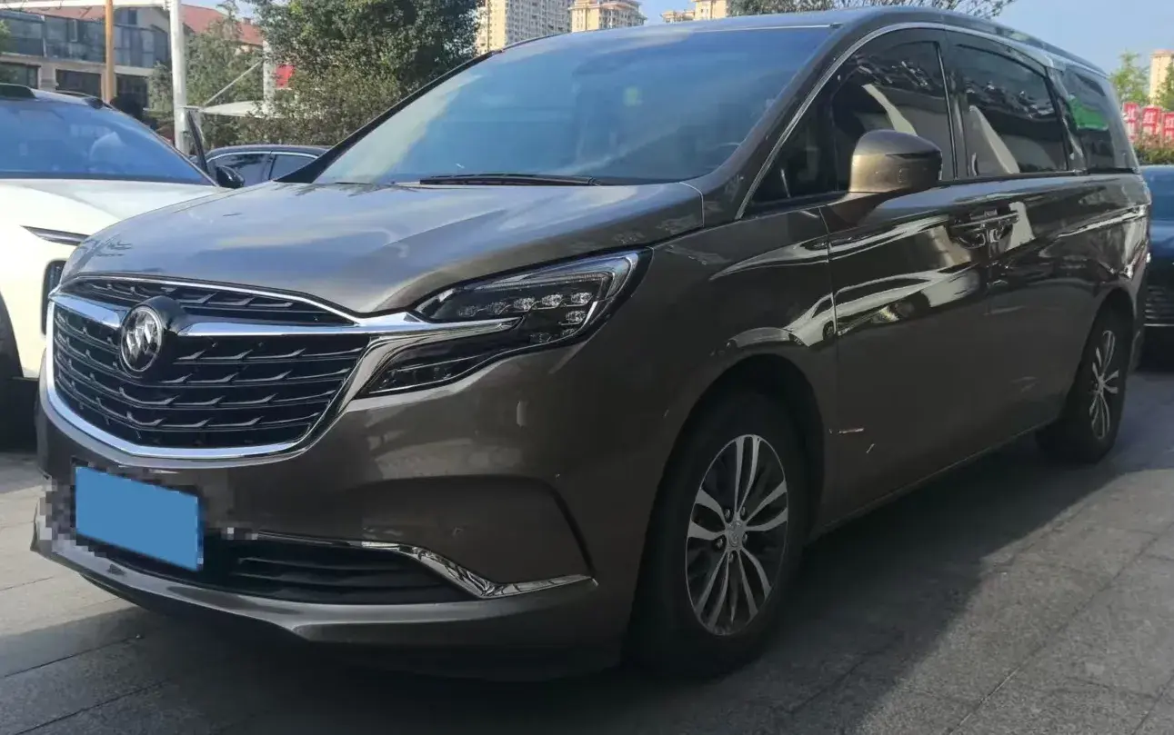 2020 BUICK GL8 view 1