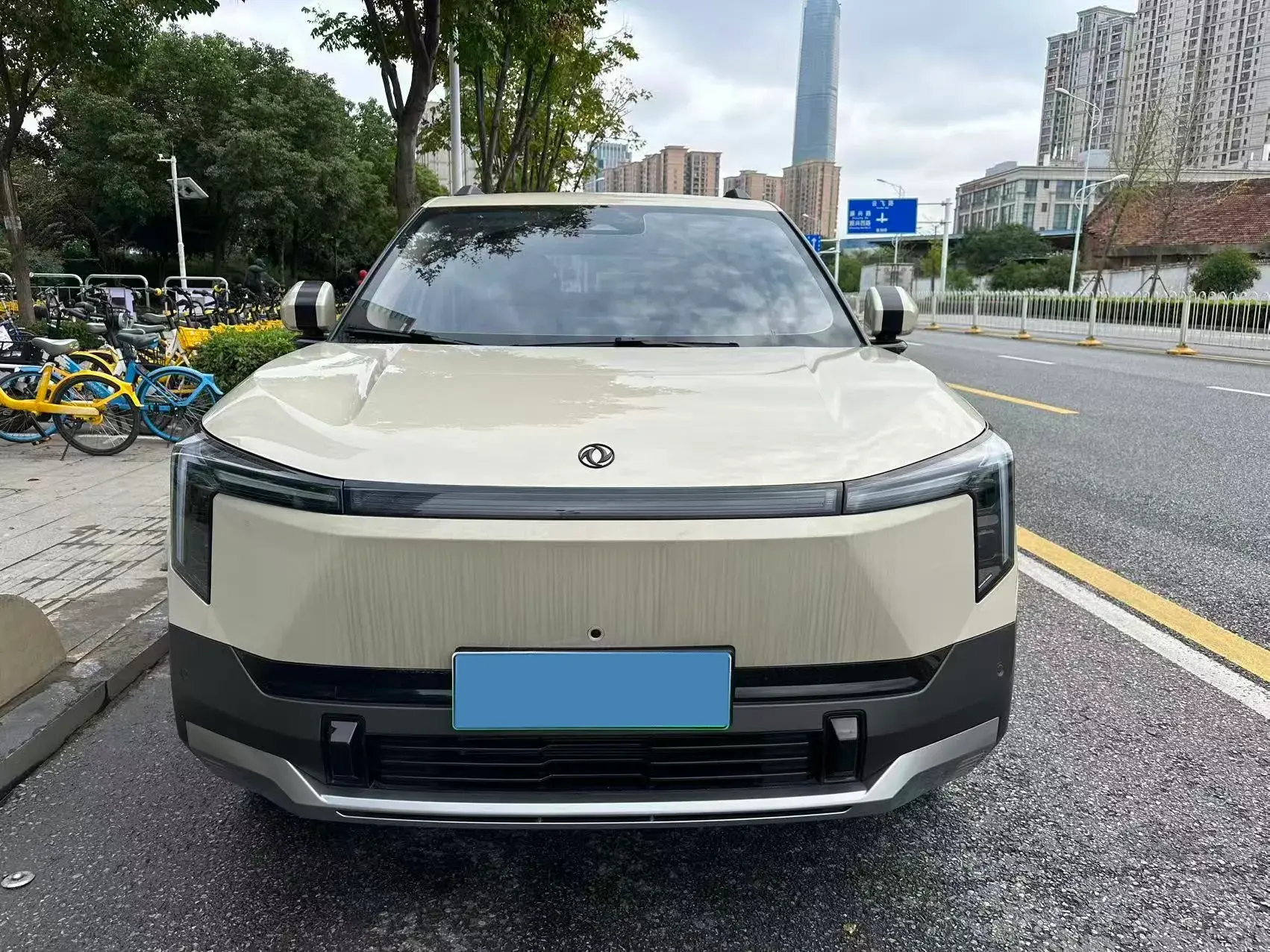 2025 DONGFENG NAMMI thumbnail 2