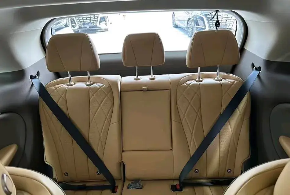 2022 DENZA D9 thumbnail 2