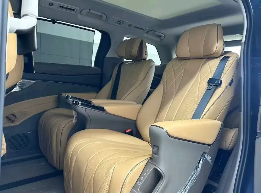 2022 DENZA D9 thumbnail 3