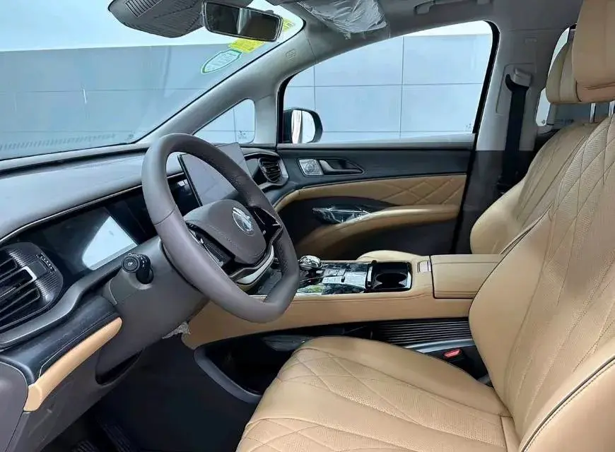 2022 DENZA D9 thumbnail 4