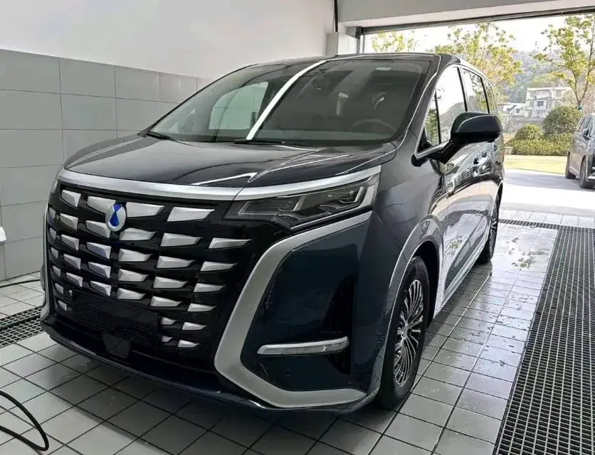 2022 DENZA D9 view 1